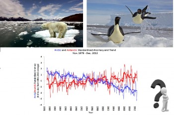 In Antartide i ghiacci marini aumentano e in Artide diminuiscono..