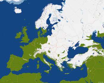 Neve dove sei? Europa divisa dalle nevicate delle ultime settimane