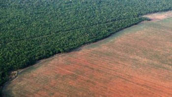 Approvati 1.200 pesticidi in Brasile, molti vietati nell’UE da decenni