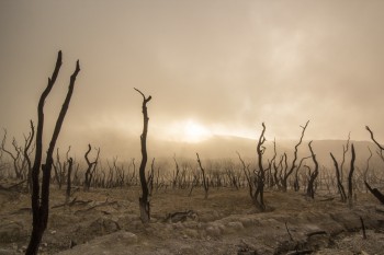 Onu: il nostro pianeta rischia un “apartheid climatico”