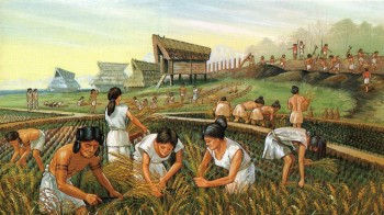 3.000 anni fa i contadini cambiavano irrimediabilmente la Terra