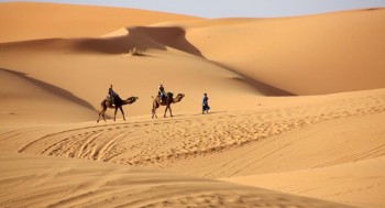 Sabbia dal Sahara: ora deserto, una volta foresta sconfinata