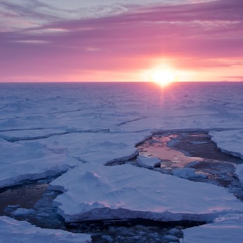 Nuovo record negativo per i ghiacci dell’Artico!