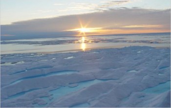 Sapevi che esistono tante tipologie di ghiaccio marino?