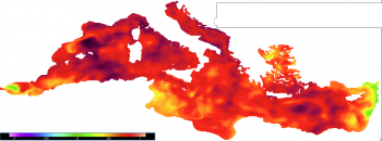 Mediterraneo sempre più caldo, breve analisi dei dati fino al 2014