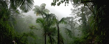 Perchè nelle zone equatoriali piove tantissimo? La risposta è nell’ITCZ!