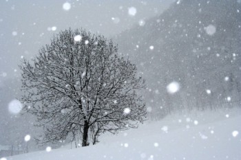 Irruzione Artica al via sull’Italia : Ecco dove nevicherà sabato!