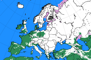 Copertura nevosa euroasiatica in aumento, ecco gli effetti dell’ondata fredda