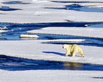 Artico, il ghiaccio più spesso e “antico” si rompe per la prima volta