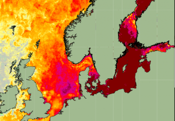 Agosto bollente nel mar Baltico, caldo come le acque del Mediterraneo