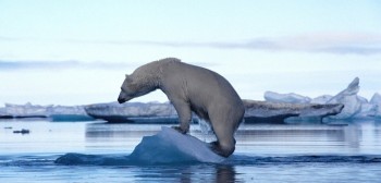Cambiamento climatico: allarme per l’Artico