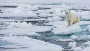 I ghiacci artici raggiungono la massima estensione di questo inverno: è la settima più bassa negli ultimi 40 anni!
