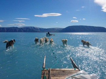 Questa foto rivela la realtà preoccupante dello scioglimento dei ghiacciai nell’Artico