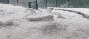 Maltempo in Trentino: la grandine sta gravemente danneggiando l’agricoltura