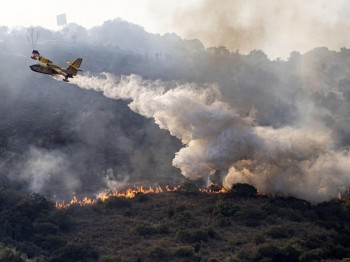 Incendi in Italia: dall’inizio dell’anno 230 km quadrati di boschi sono andati in fumo