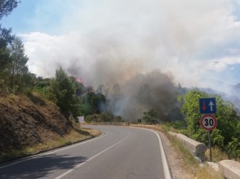 Incendio nel Cosentino: diverse le famiglie evacuate