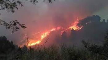 Incendio in Basilicata: bruciati oltre 45 ettari di bosco in provincia di Matera