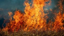 Continuano gli incendi in Sardegna: oltre 20 gli incendi nelle ultime 24 ore