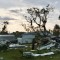 Continua la tempesta invernale negli USA: diversi i danni causati dai tornado in Florida. Immagini impressionanti!