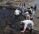 Le spiagge del Perù coperte di petrolio dopo l’eruzione a Tonga