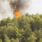 Incendi in Italia: scatta lo stato di grave pericolosità in Emilia Romagna