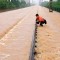 Inondazioni record minacciano la Cina meridionale