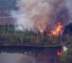Incendi drammatici in Alaska: oltre 600 mila gli ettari bruciati
